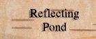 pond.jpg (2862 bytes)